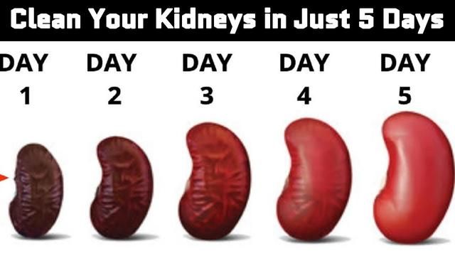 How To Reverse Your Kidney Disease Naturally