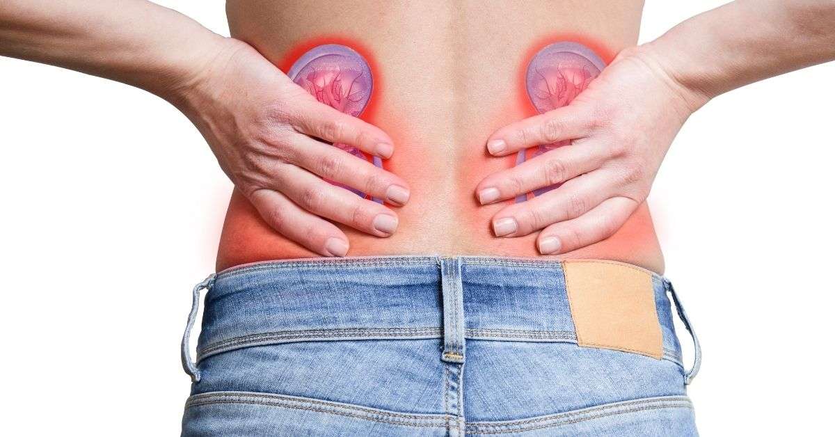 How to tell the difference between kidney pain and lower back pain ...