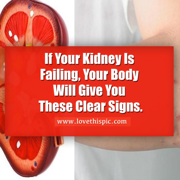If Your Kidney Is Failing, Your Body Will Give You These Clear Signs.