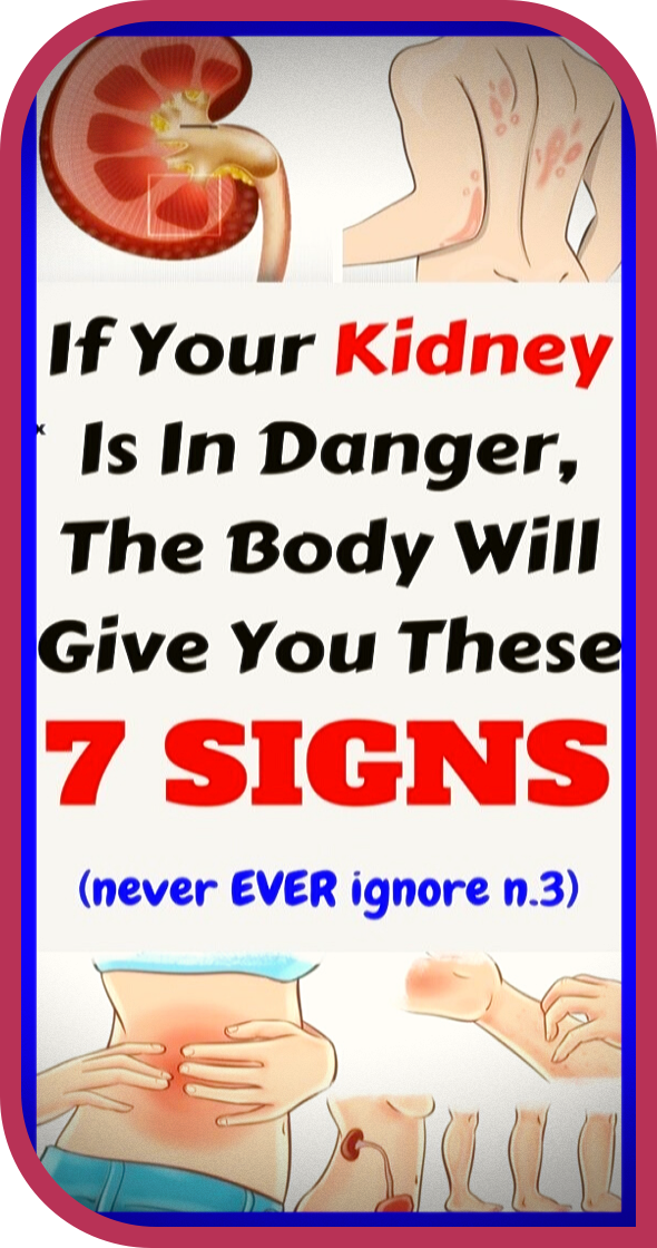 If Your Kidney Is In Danger, The Body Will Give You These ...