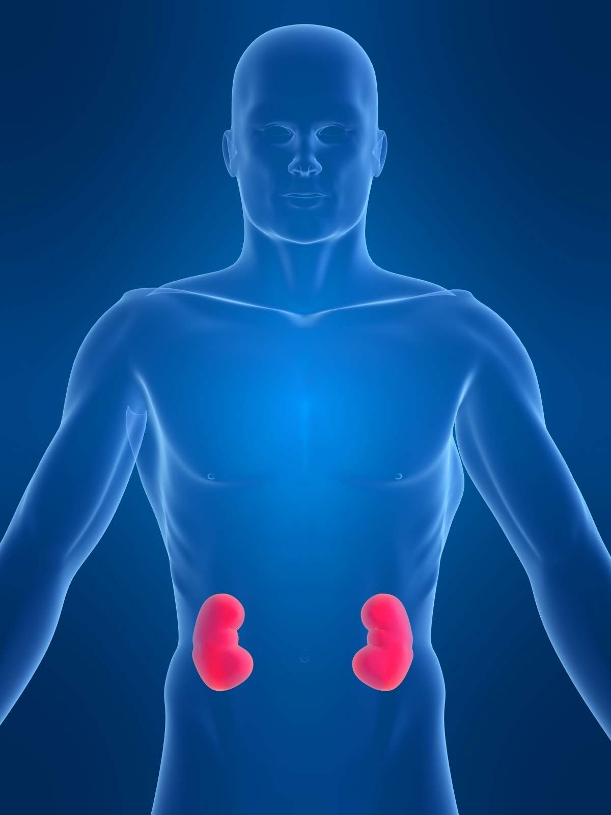 Importance of healthy kidneys