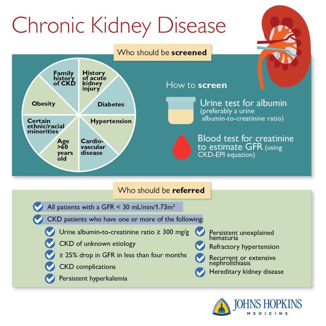 In many cases, you lose 90 percent of your kidney function ...