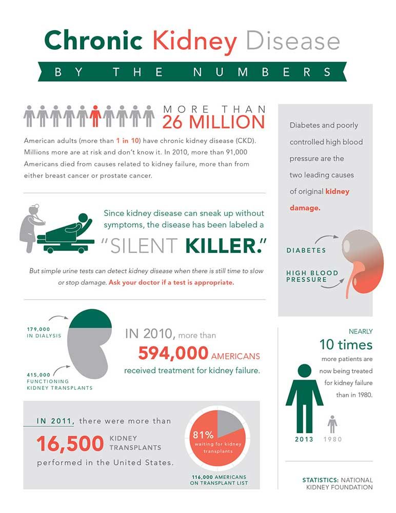 Infographic neatly displaying kidney disease facts ...