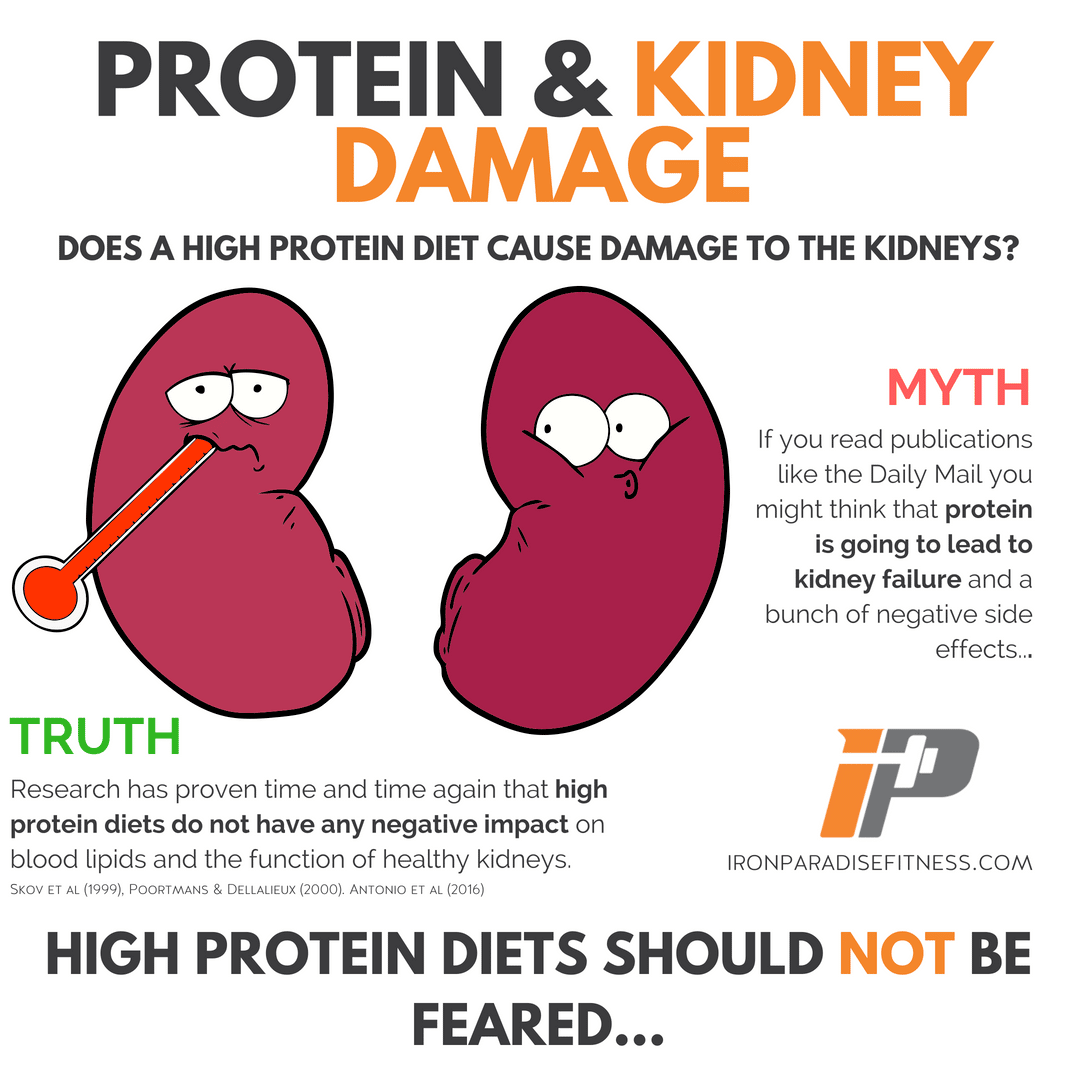 Is High Protein Bad For Your Kidneys HealthyKidneyClub