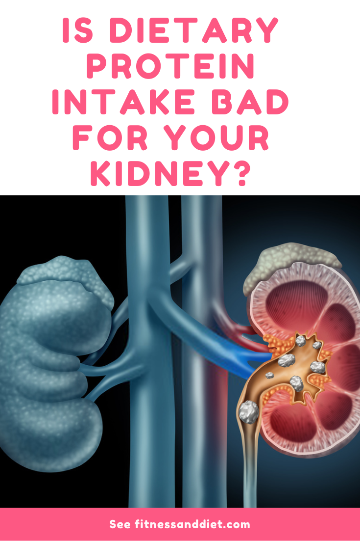 Is Dietary Protein Intake Bad For Your Kidney