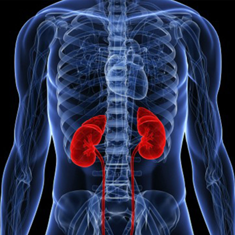Is Drinking A Lot of Water Good Or Bad For Your Kidneys ...