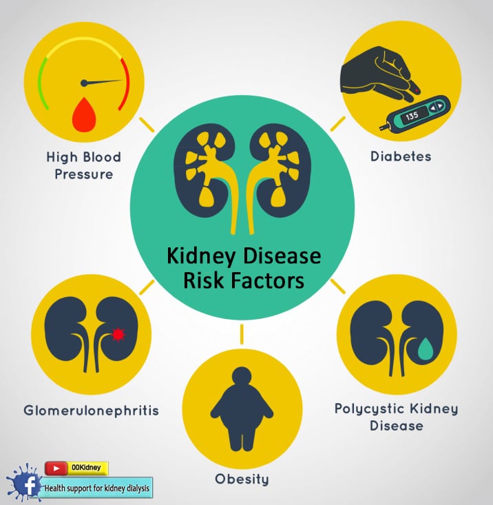 Is it really possible to get off kidney dialysis?: 2020