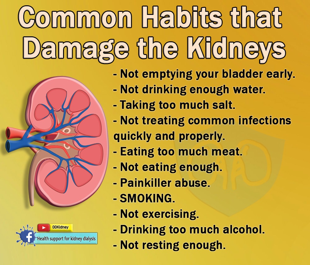 Is it really possible to get off kidney dialysis?: Bad Habits for Your ...