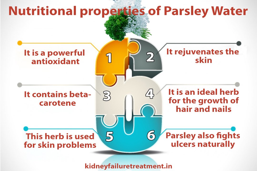 Is Parsley Water Good for Kidneys? Kidney Failure ...