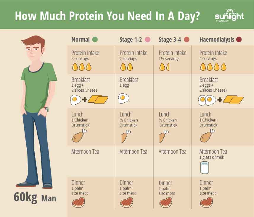 Is Too Much Protein Bad For My Kidneys Sunlight Pharmacy