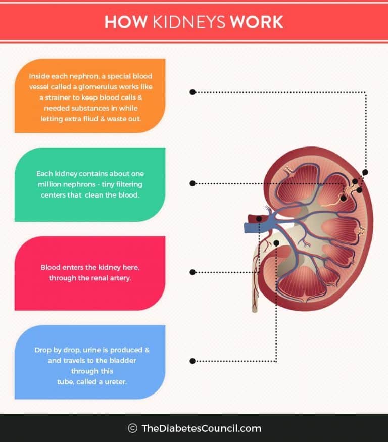 How Can They Test For Kidney Infection