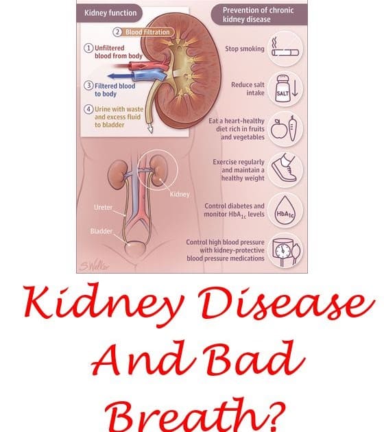 blood-test-for-kidney-function-importance-analysis-myhealth