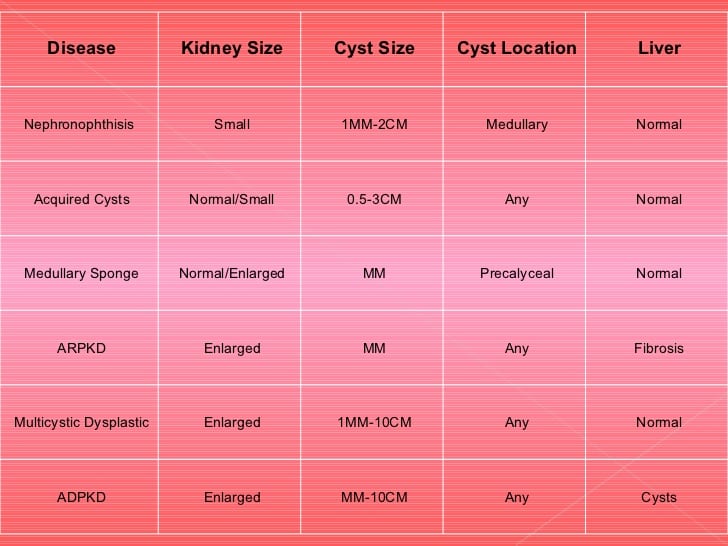 What Is The Normal Size Of Kidney HealthyKidneyClub Com   Kidney Cyst Normal Size Kidney Failure Disease 