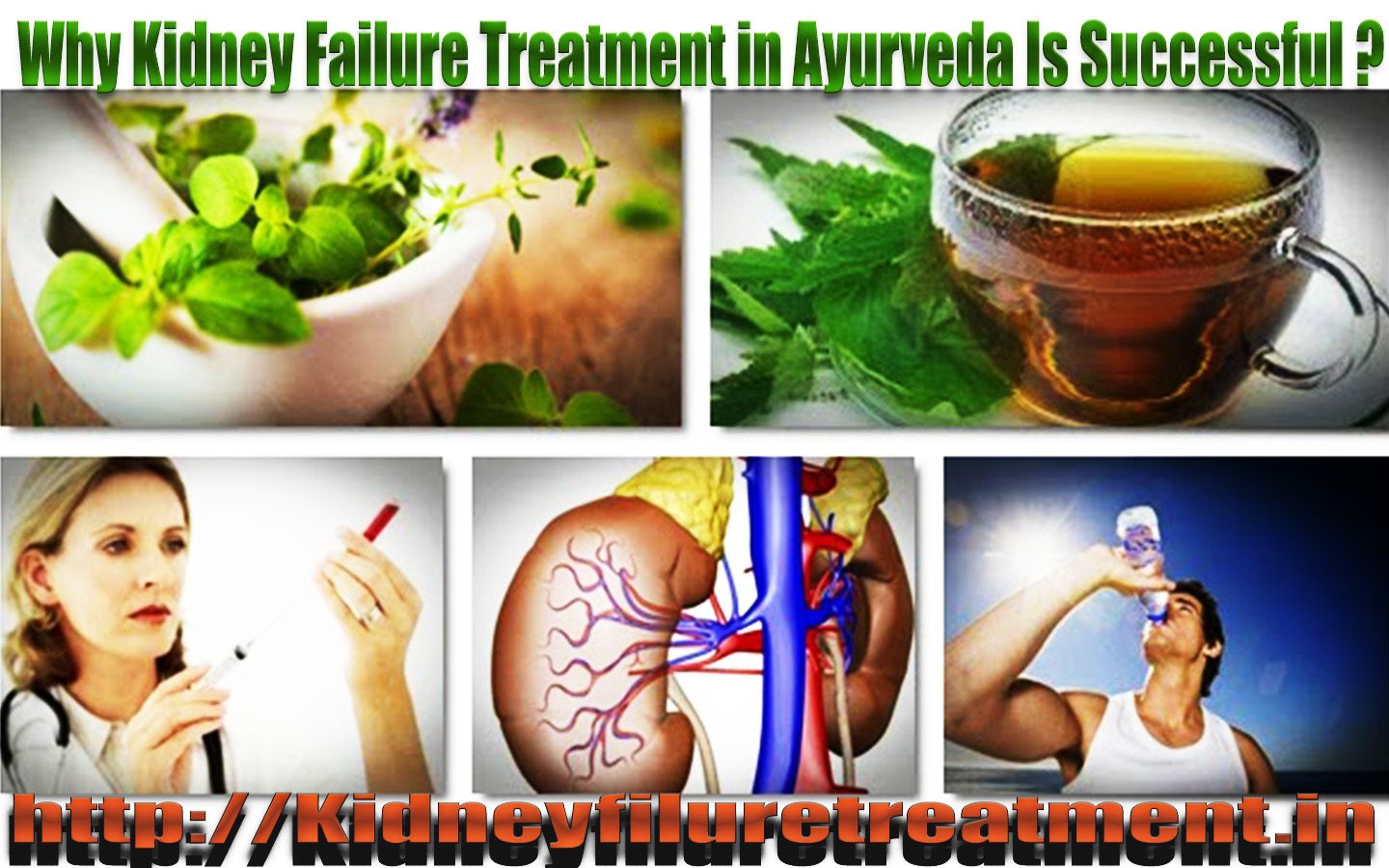 Kidney Cyst Treatment Ayurveda