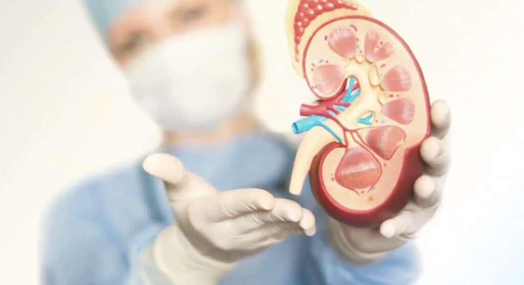 Kidney Cyst: What Is a Kidney Cyst?