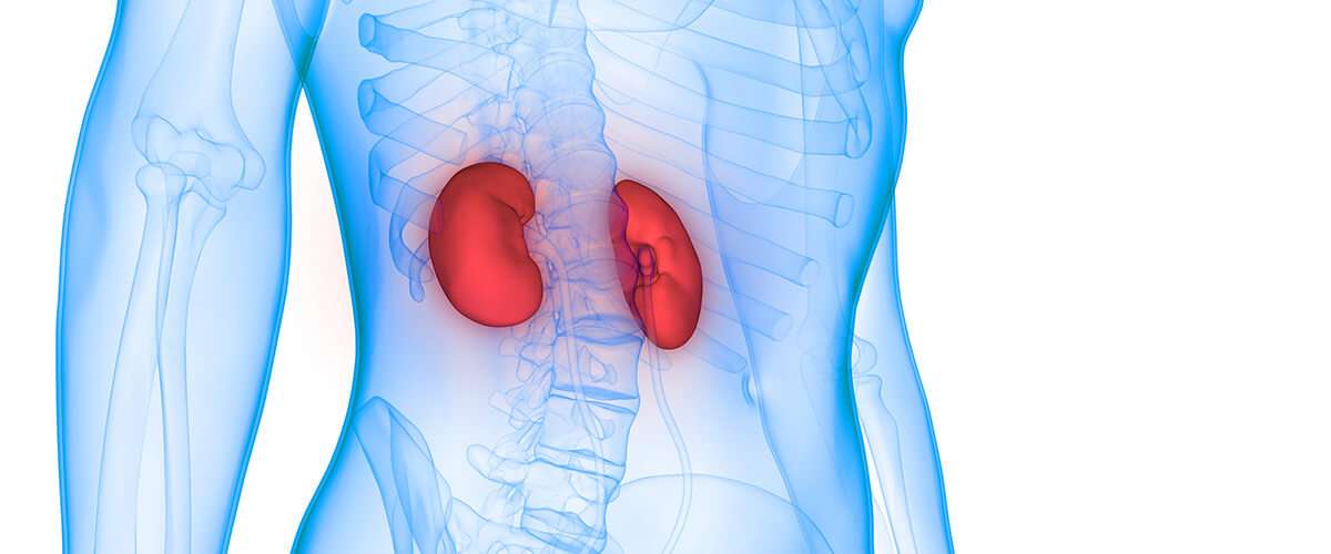 Kidney disease: an overview