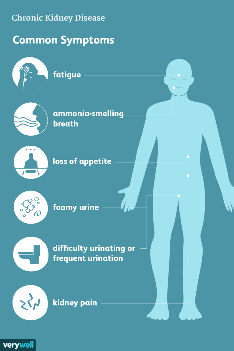 Kidney Disease: Signs and Symptoms