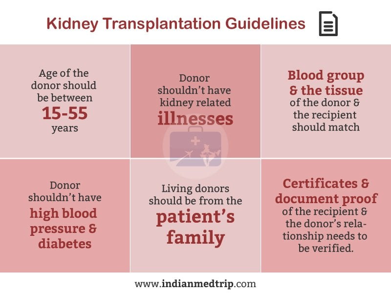 Kidney Donor Match Criteria