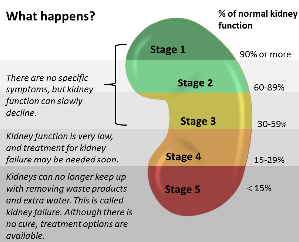 Kidney Failure Stage 3 Prognosis