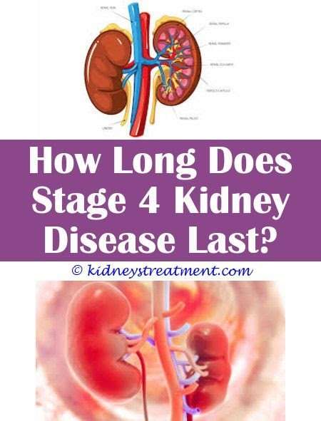 what-is-stage-four-kidney-failure-healthykidneyclub