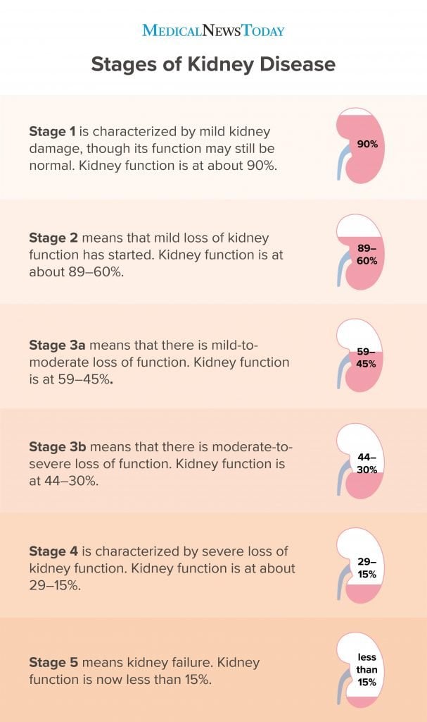 How Long After Kidney Failure