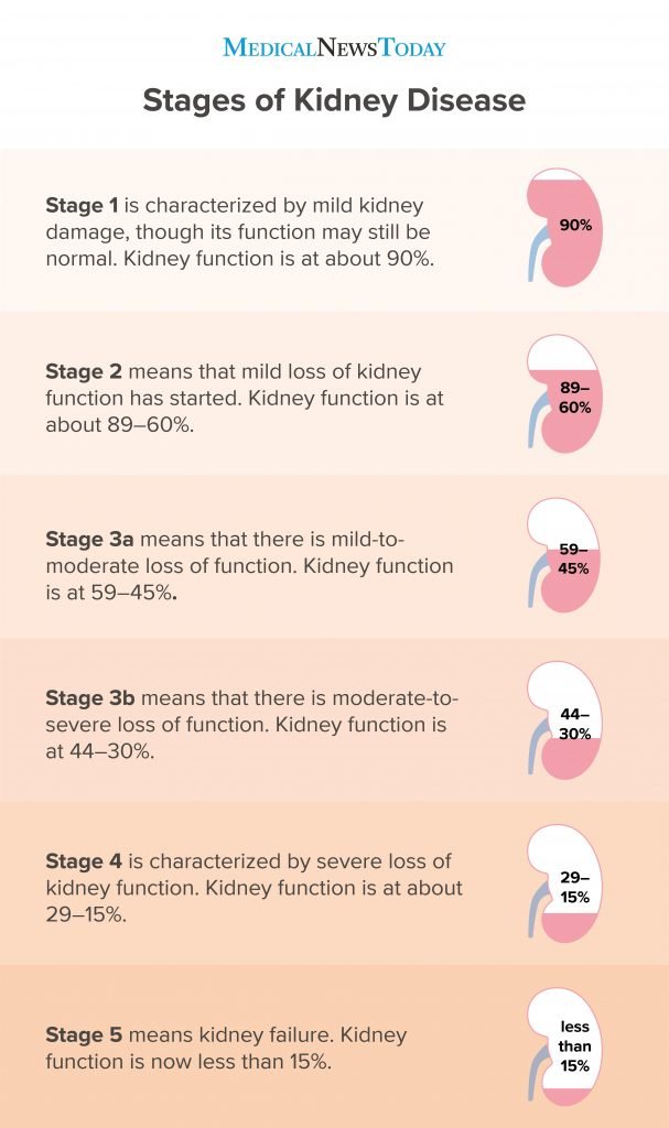 How To Tell If Your Kidneys Are Failing HealthyKidneyClub