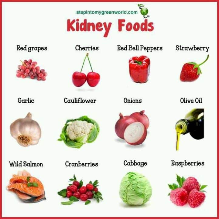 Kidney foods