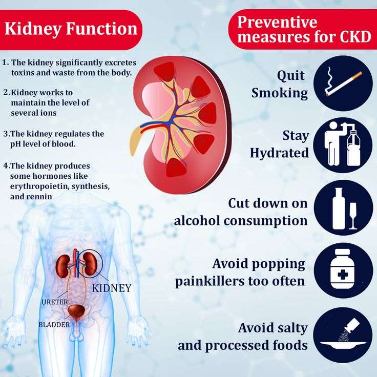 Kidney function and preventive measures for CKD