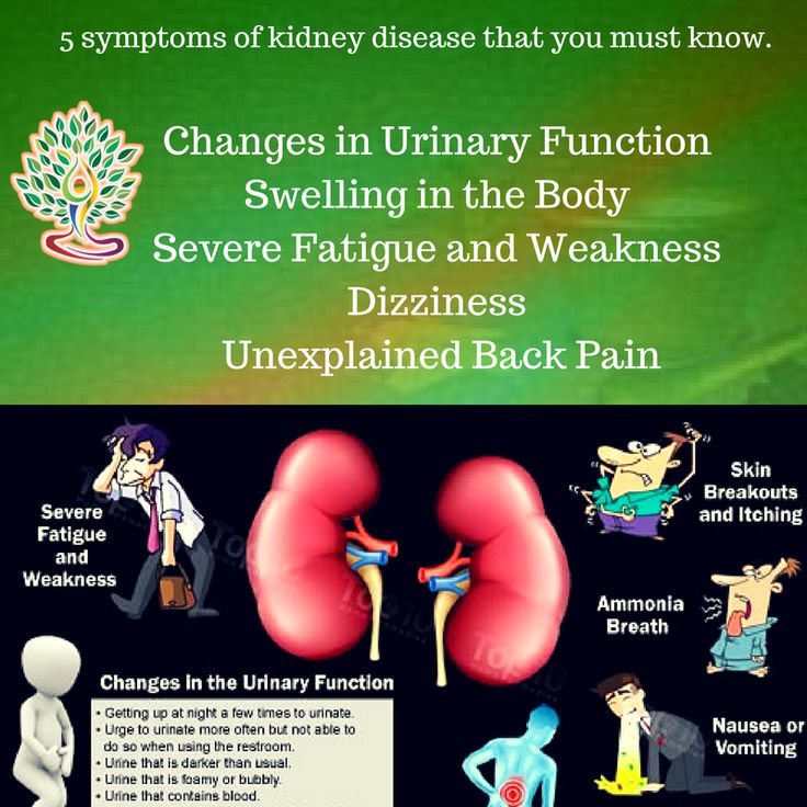 Kidney function declines with age. However, certain factors put you at ...
