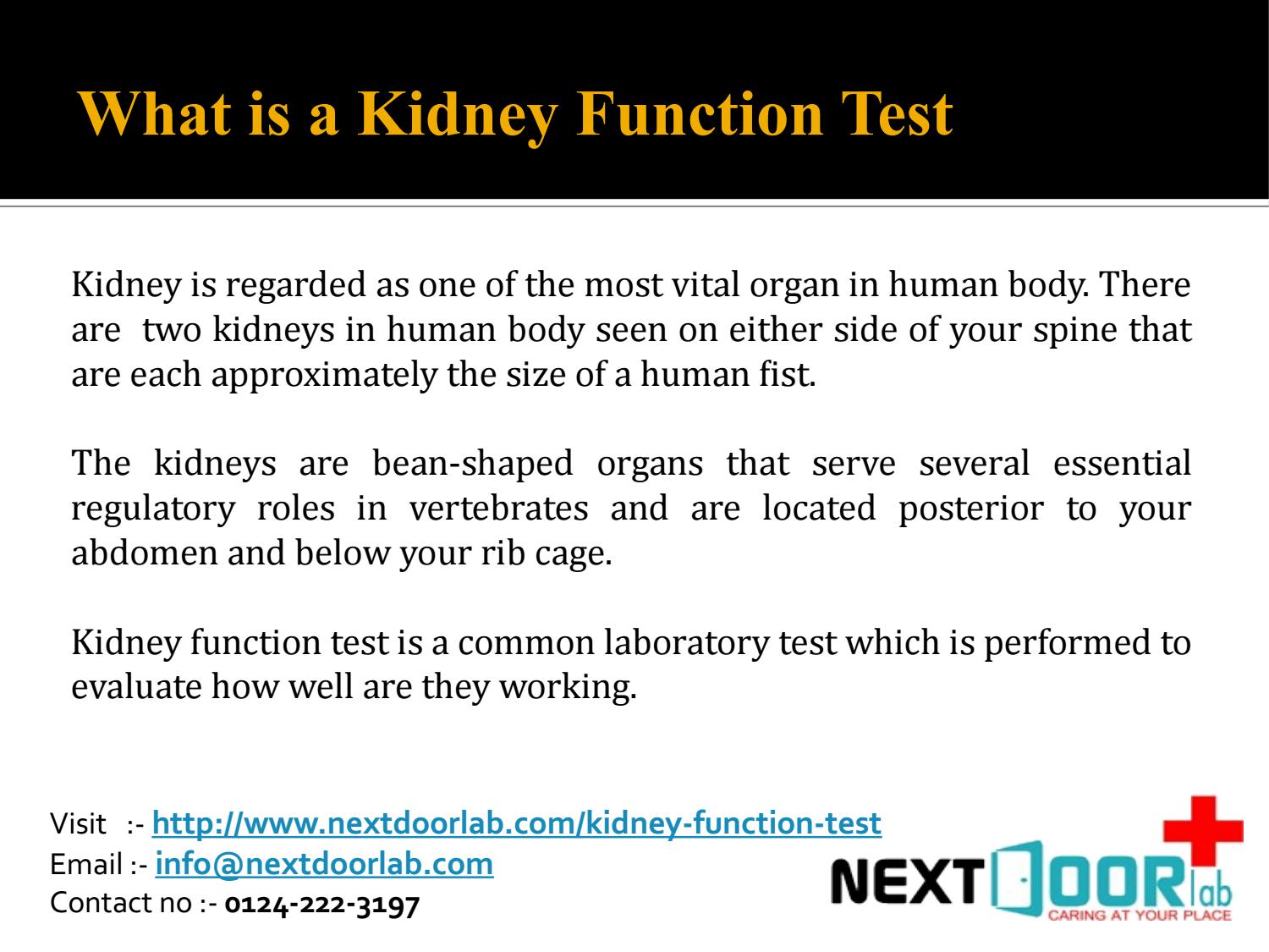 Kidney Function Test by stelleashapcot