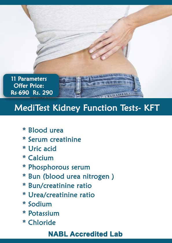 Which Blood Test Is Commonly Used To Evaluate Kidney Function 