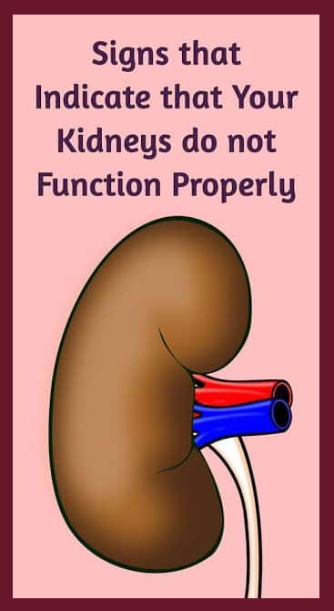 how-does-a-kidney-infection-feel-healthykidneyclub