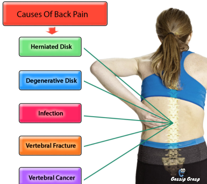 Kidney Pain Vs Back Pain How To Tell The Difference 