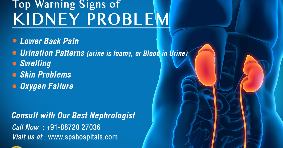 Kidney Pain Vs Back Pain Location