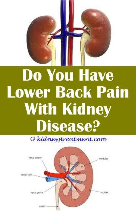 Kidney Problems Blood In Stool