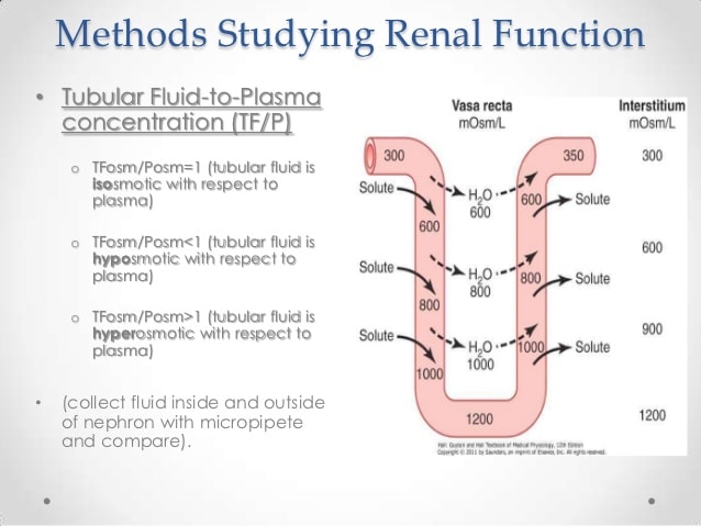 Kidney Regulation and Methods