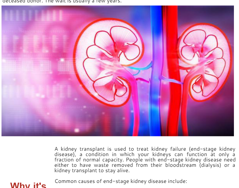 Kidney Removal Surgery Steps