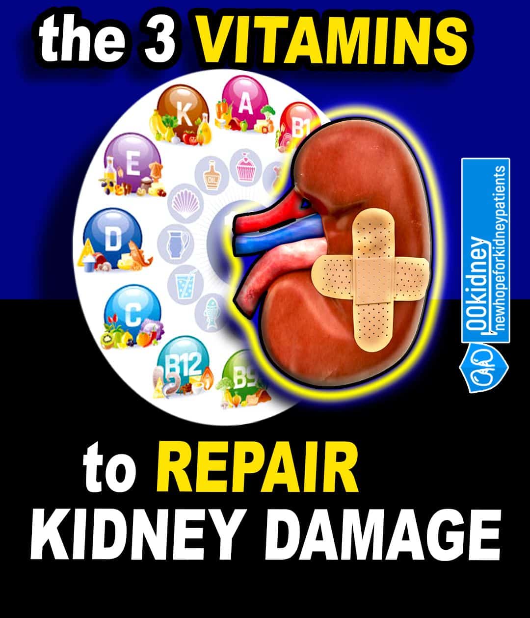 Kidney Repair