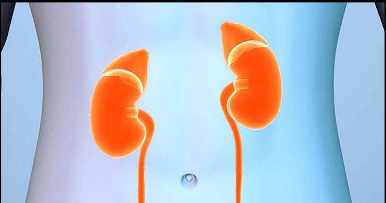 Kidney Stones and Magnesium
