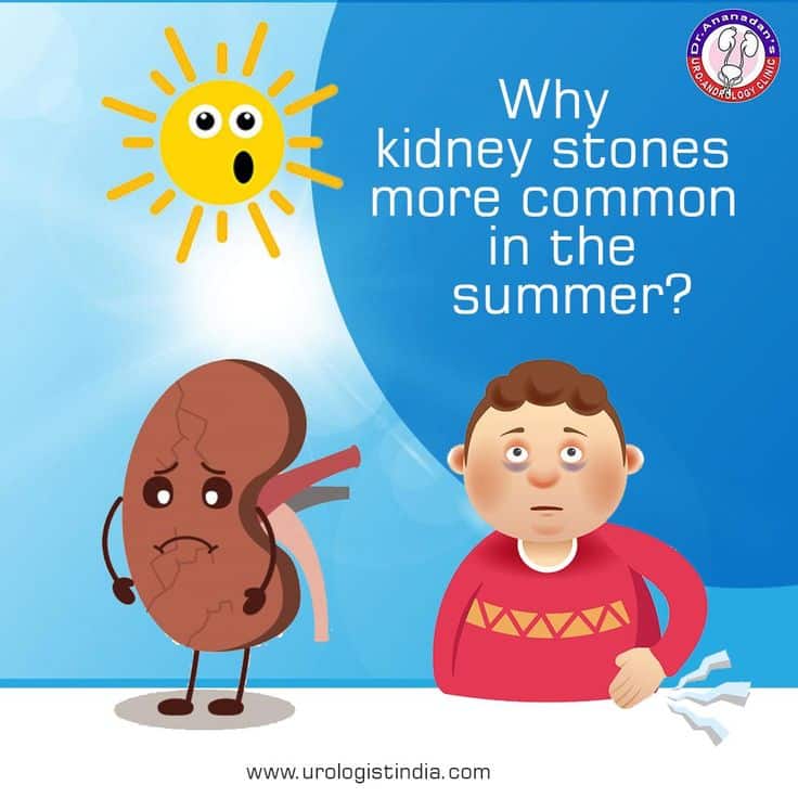 Kidney stones are mineral salts which are found in the urinary tract ...