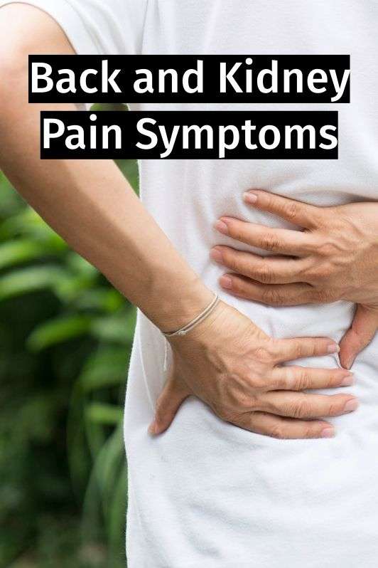 Kidney Symptoms Lower Back Pain