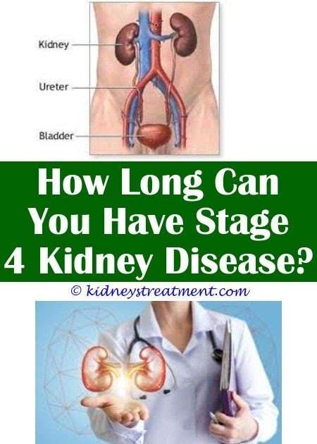 Kidney Transplant How Long Does It Last