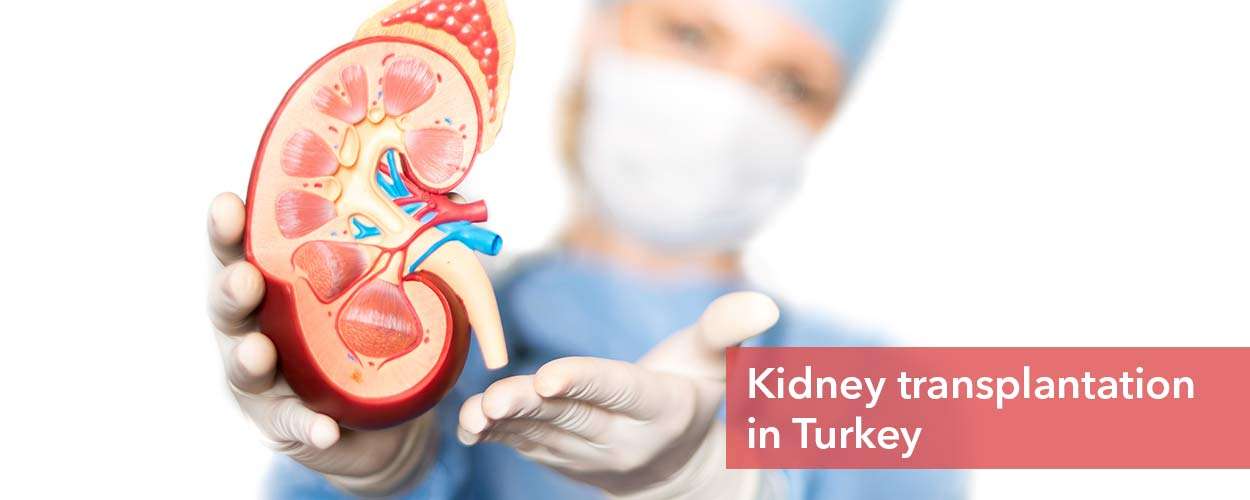Kidney Transplant in Turkey, Kidney Transplant Cost in Turkey
