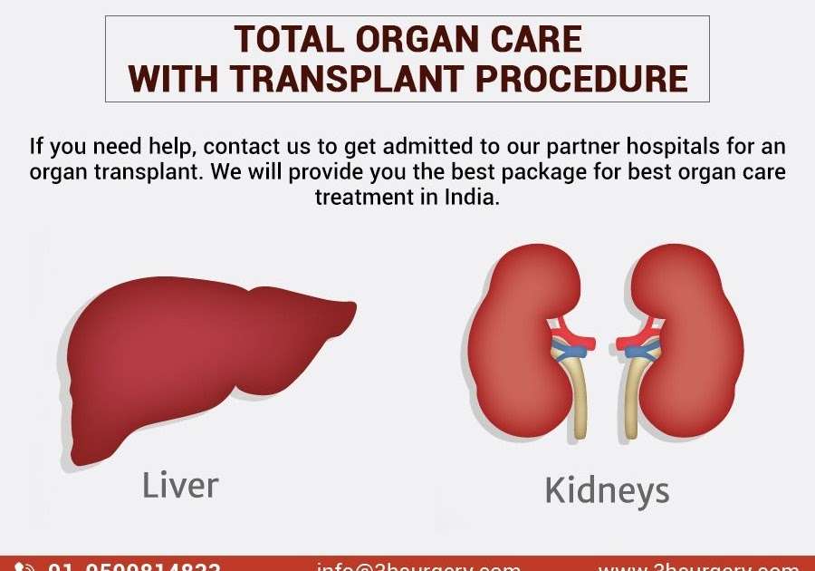 how-to-help-liver-and-kidney-function-healthykidneyclub-2023