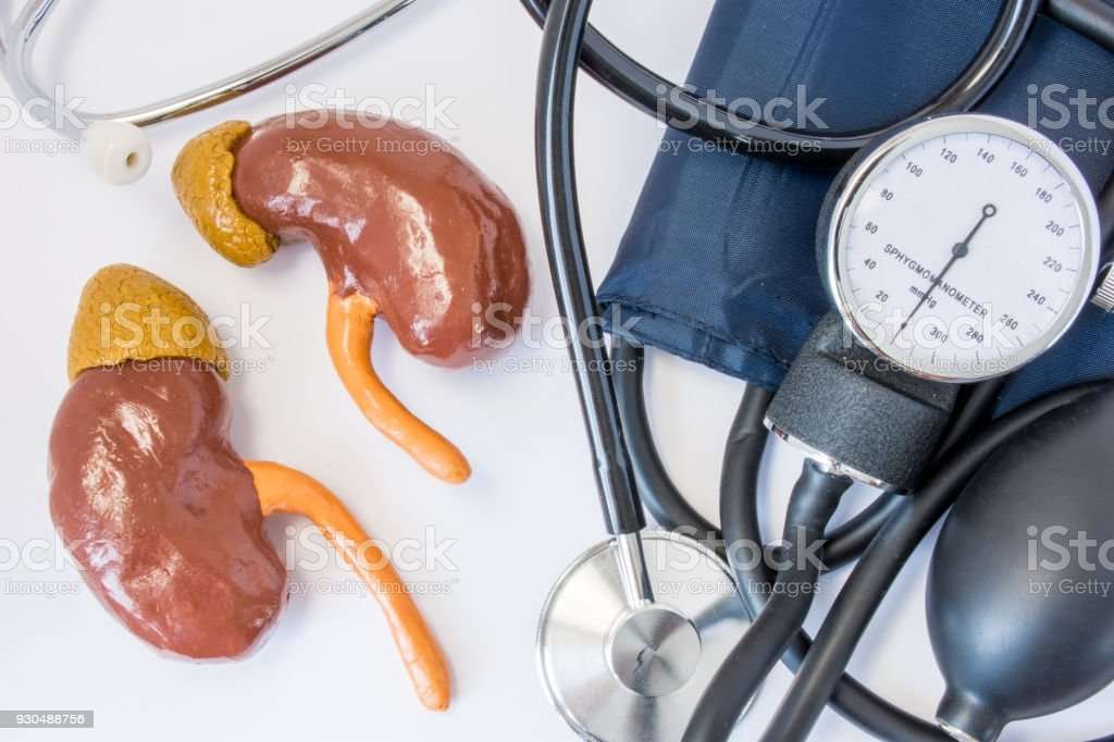 Low Blood Pressure Kidney Function