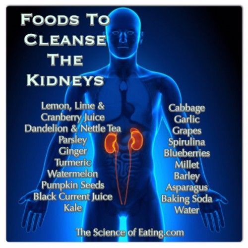 Kidneys are among our most vital organs, and they help process ...