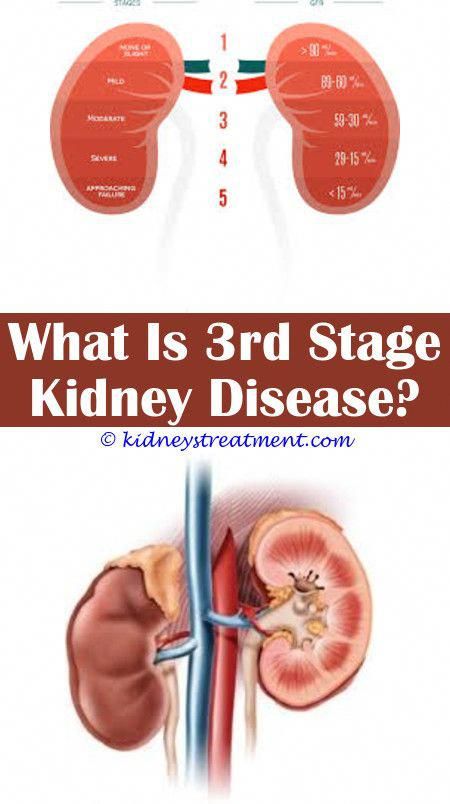Kidneys: Repair Your Kidneys in 2 Days its amaizing in ...