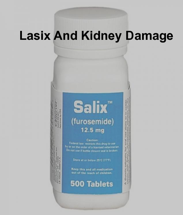 Lasix and kidney damage, can furosemide cause kidney ...