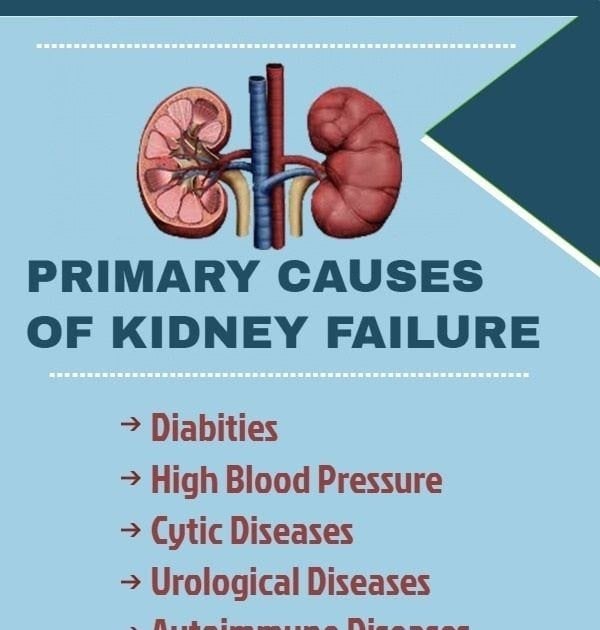 Last Stage Of Kidney Failure Symptoms
