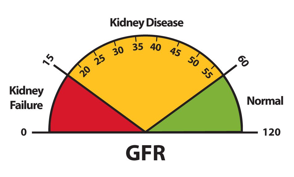 Lesson 1: Understanding Kidney Disease